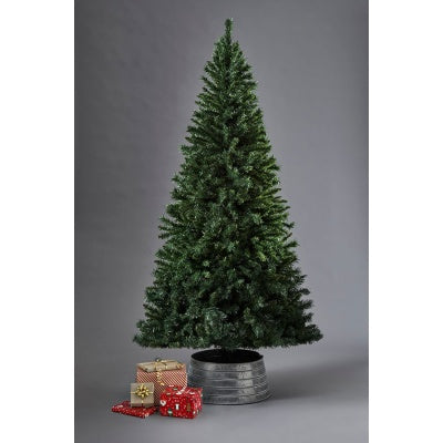 Forest Pine 7ft