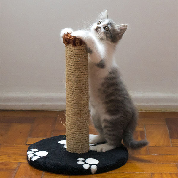 Toy For Cats A1