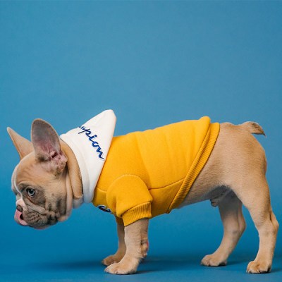 Zipper pullover