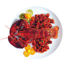 Fresh Shrimp Claw Meat