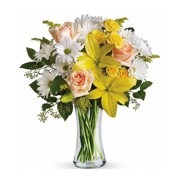 Spring Roses