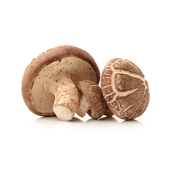Mushroom