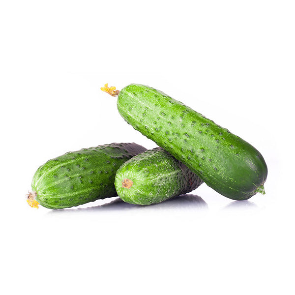 Cucumber