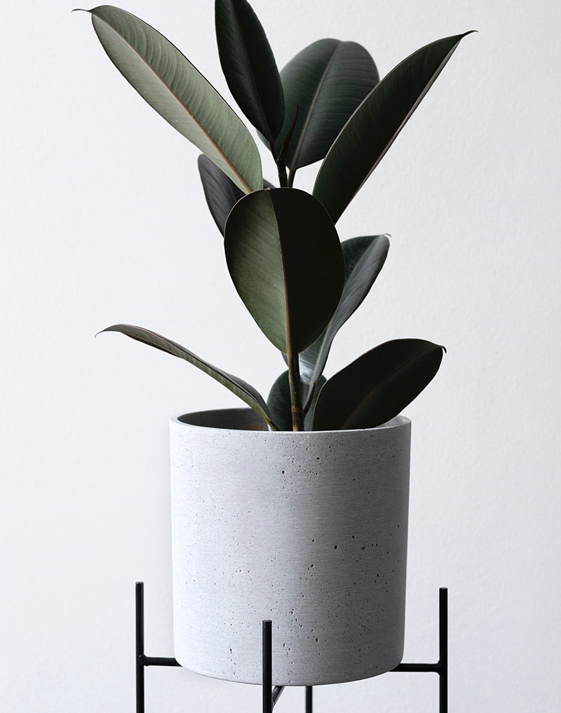 Ceramic Pot
