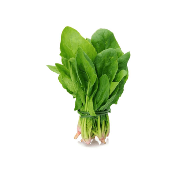 Broccoli Seeds 100% Non GMO