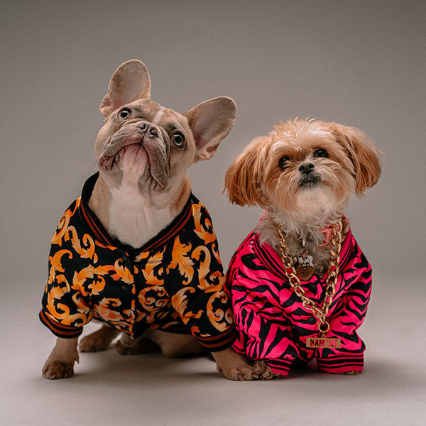 Cool Clothes For Dogs