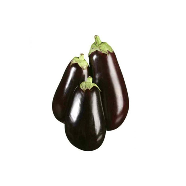 Eggplant Big Size F1